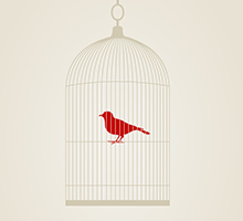 数据分析利器的免费攻击网站